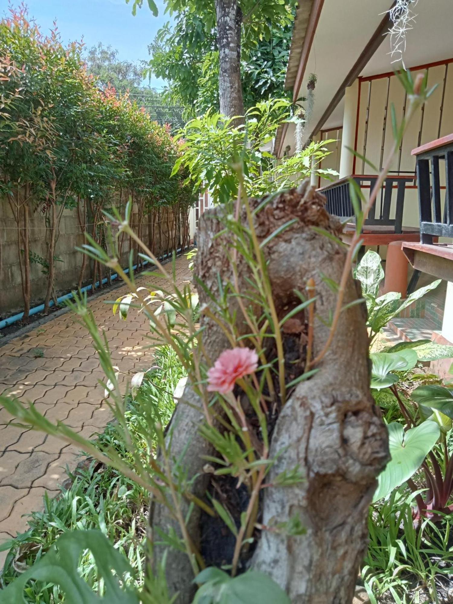 Aparthotel Coworx Ko Lanta Exterior foto